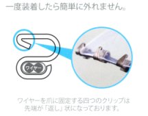 爪の両端が広がる